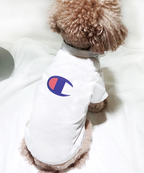 チャンピオン 犬服 Tシャツ